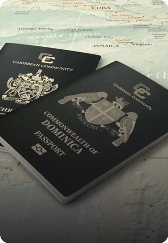 Dual Citizenship Allowed